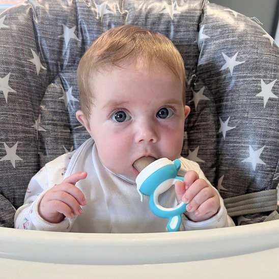 Grignoteuse bébé | Sécuri'Miam - Baby Cocoon